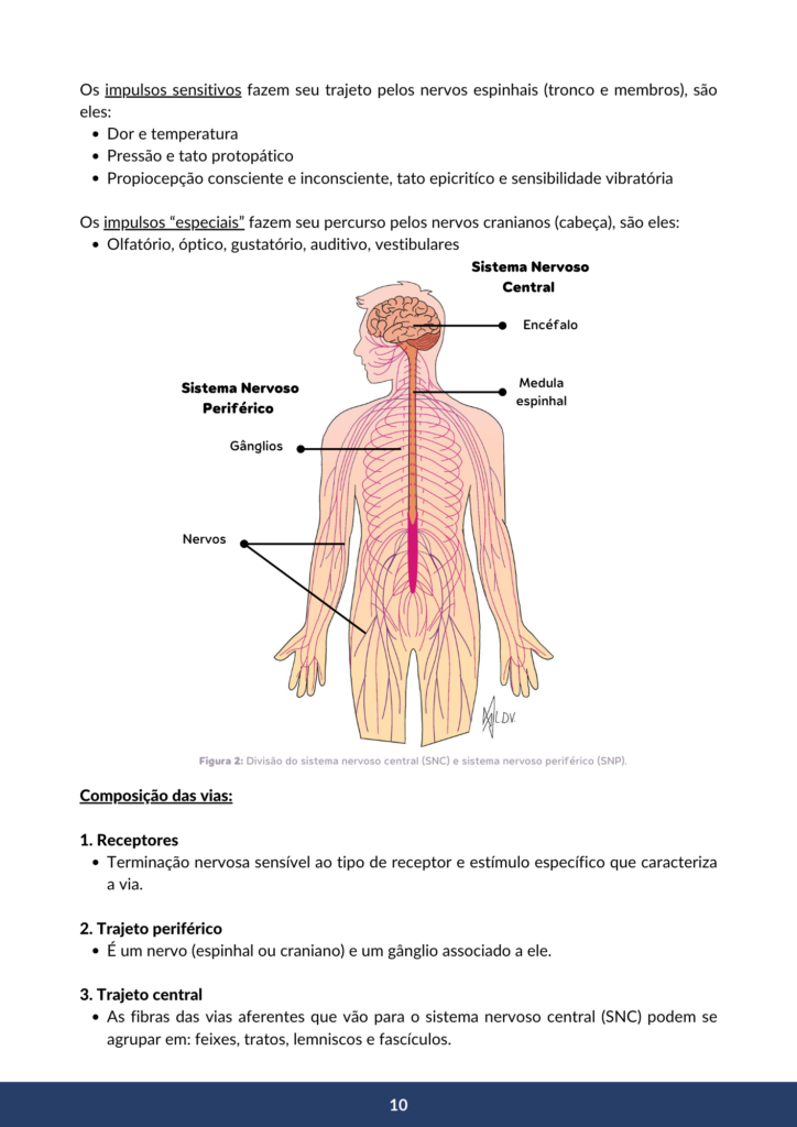 pag 3 neuro